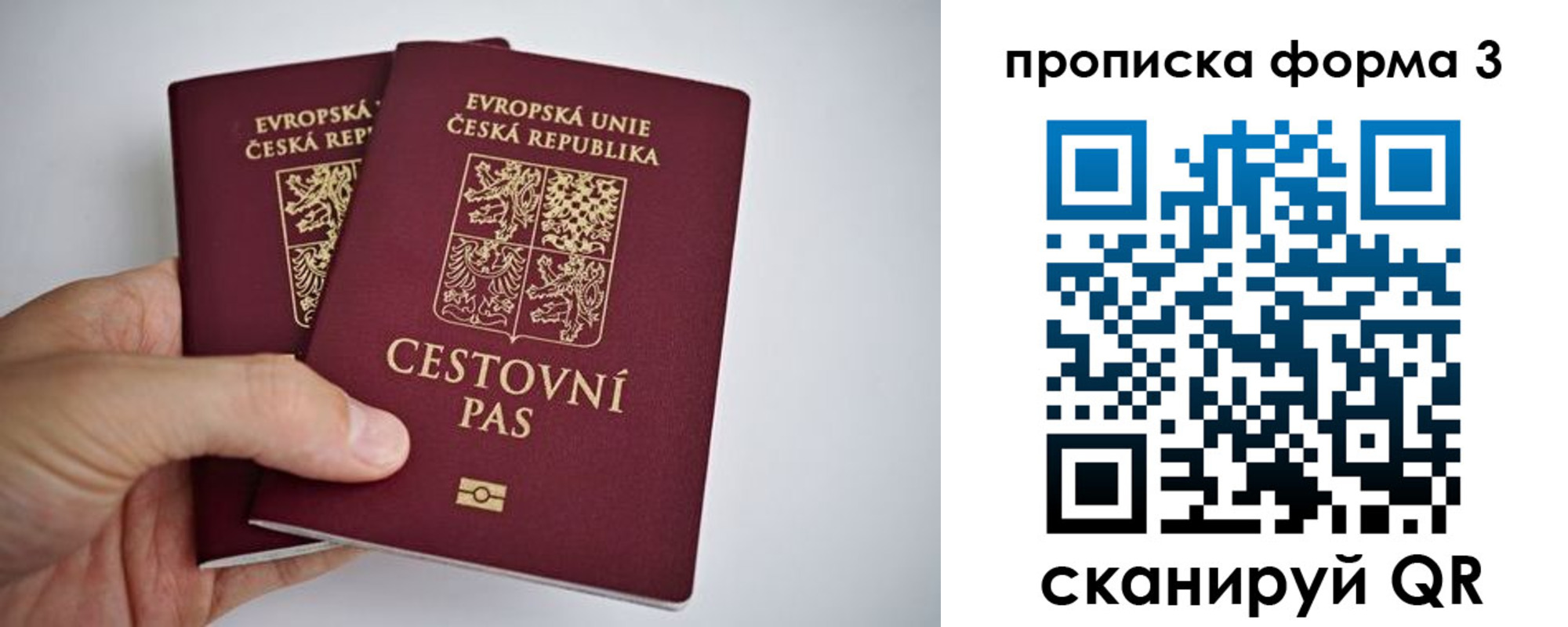 регистрация для школы в Советской Гавани